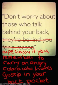 51.DontWorryAboutGossip