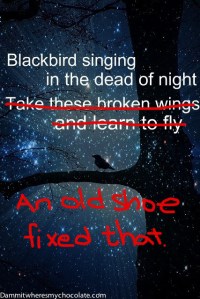 82.BlackbirdSinging