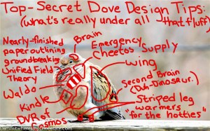 99.TopSecretDoveDesignTips