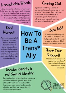 How-to-be-a-Trans-Ally-copy