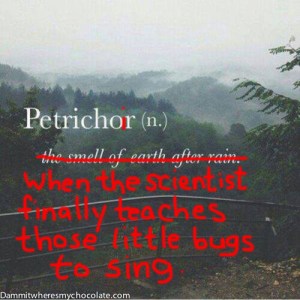 137.Petrichoir