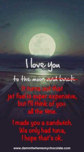 163.ILoveYouToTheMoon_edited-1