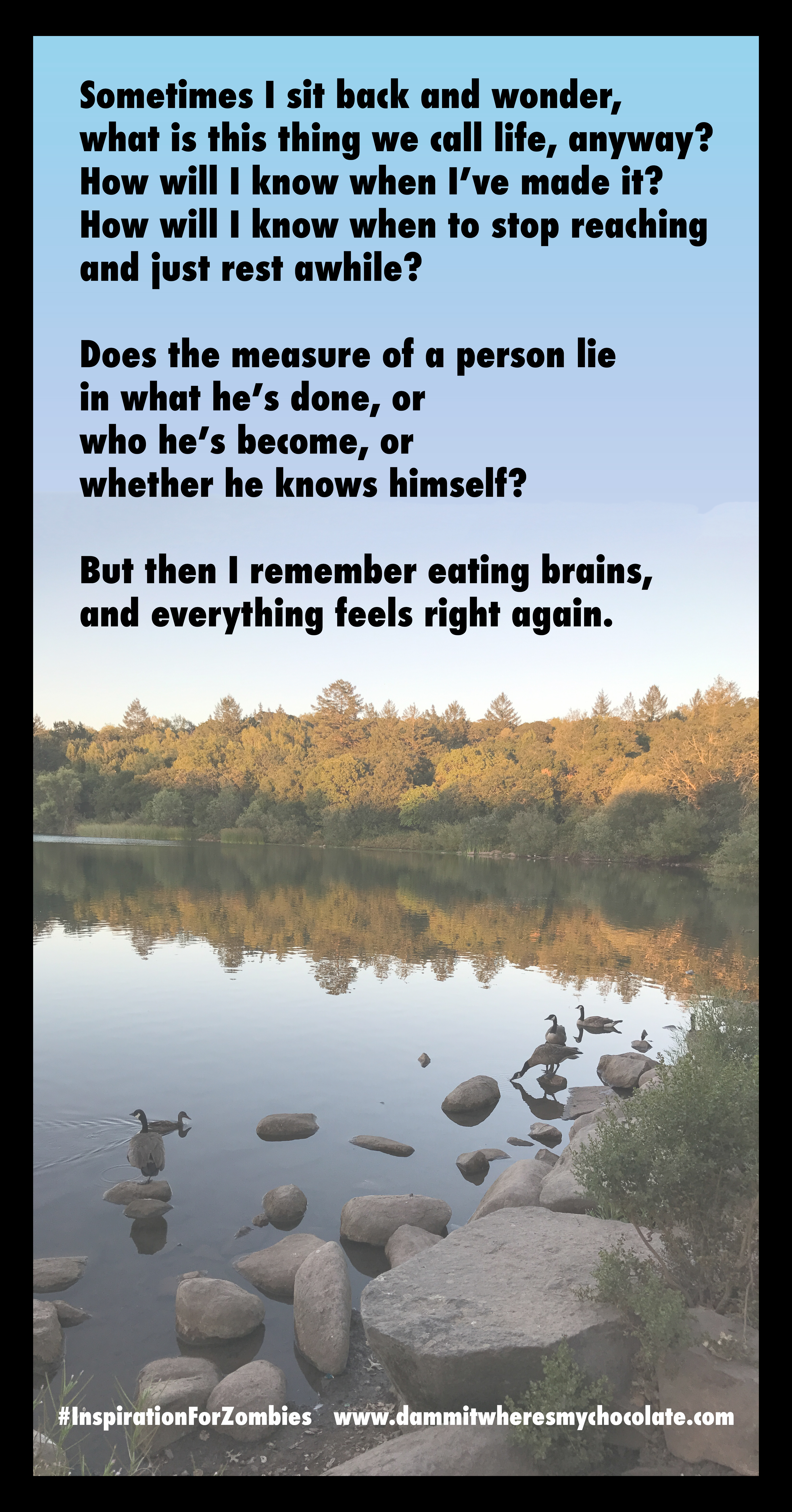 SometimesSitBackWonder